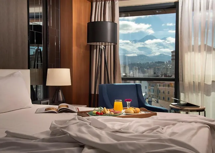 - Duvenonu By Ihg 4* カイセリ