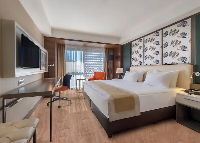 - Duvenonu By Ihg 4* Kayseri