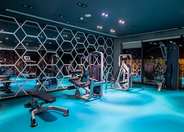 - Duvenonu By Ihg 4* カイセリ