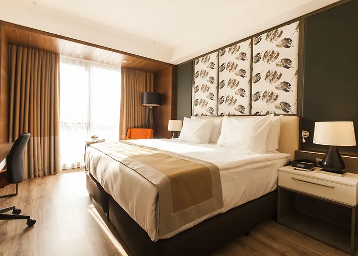 - Duvenonu By Ihg 4* カイセリ