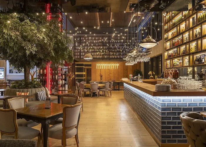 - Duvenonu By Ihg ホテル カイセリ